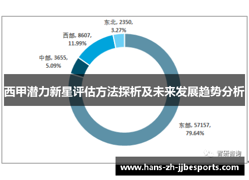 西甲潜力新星评估方法探析及未来发展趋势分析