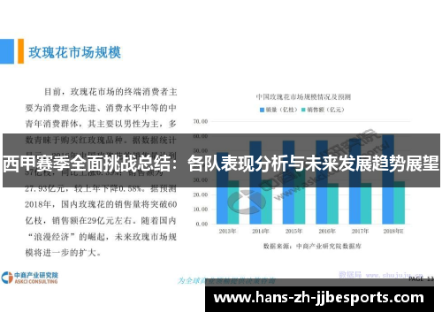 西甲赛季全面挑战总结：各队表现分析与未来发展趋势展望