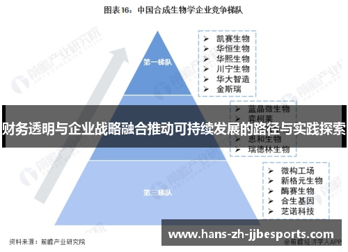 财务透明与企业战略融合推动可持续发展的路径与实践探索 财务透明与企业战略融合推动可持续发展的路径与实践探索