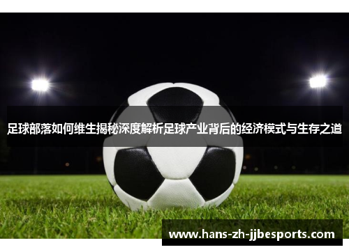 足球部落如何维生揭秘深度解析足球产业背后的经济模式与生存之道